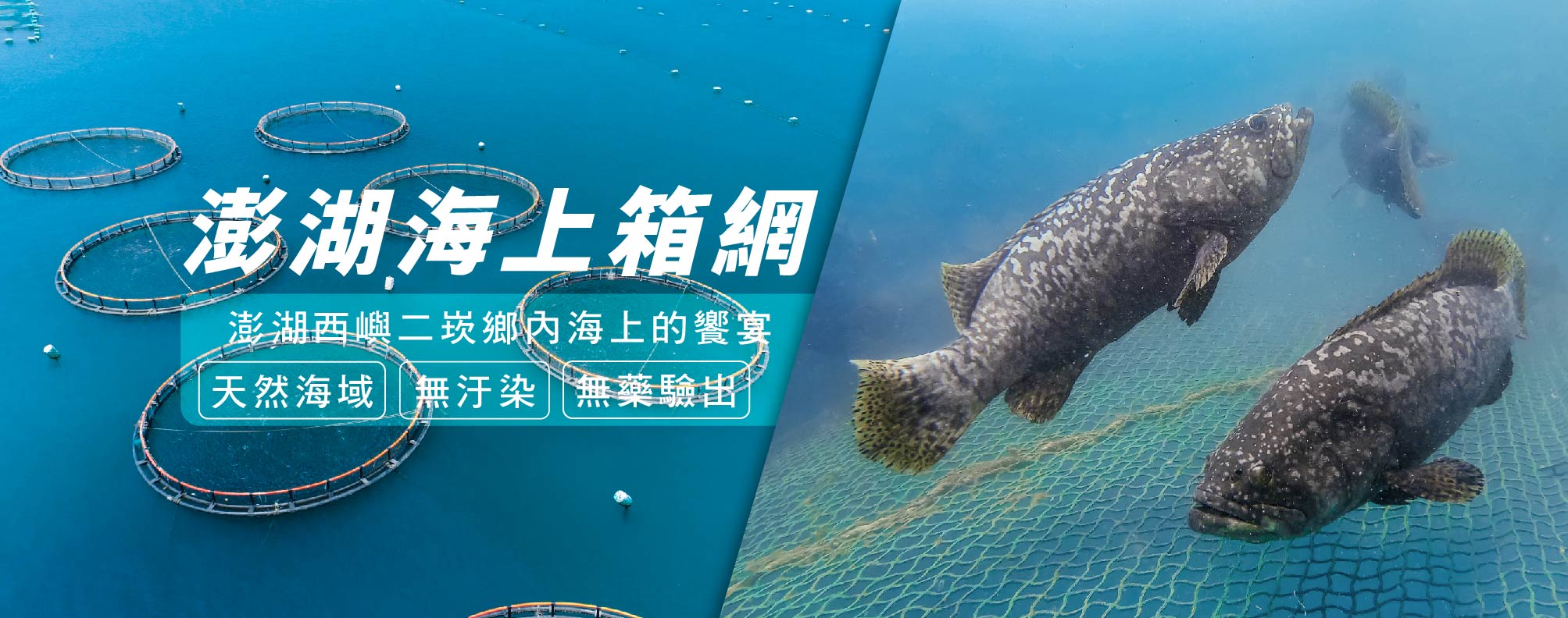 天和安心水產