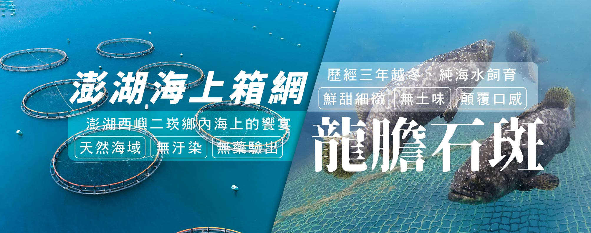天和安心水產