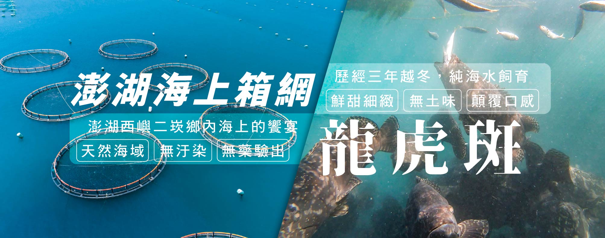 天和安心水產