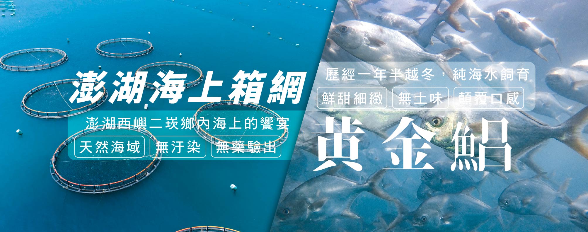 天和安心水產