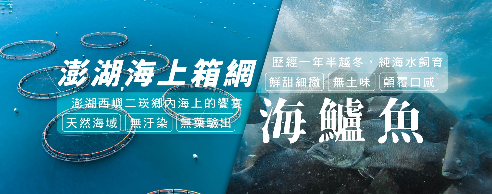 天和安心水產