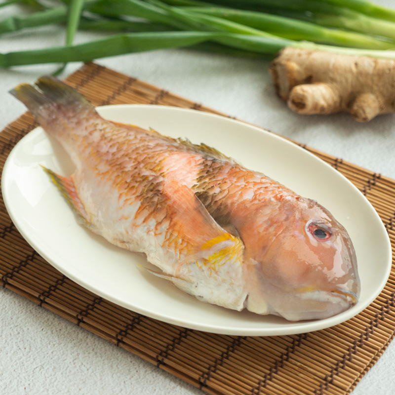 澎湖手釣寒鯛(紅鰱)340g