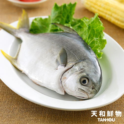 黃金鯧700g