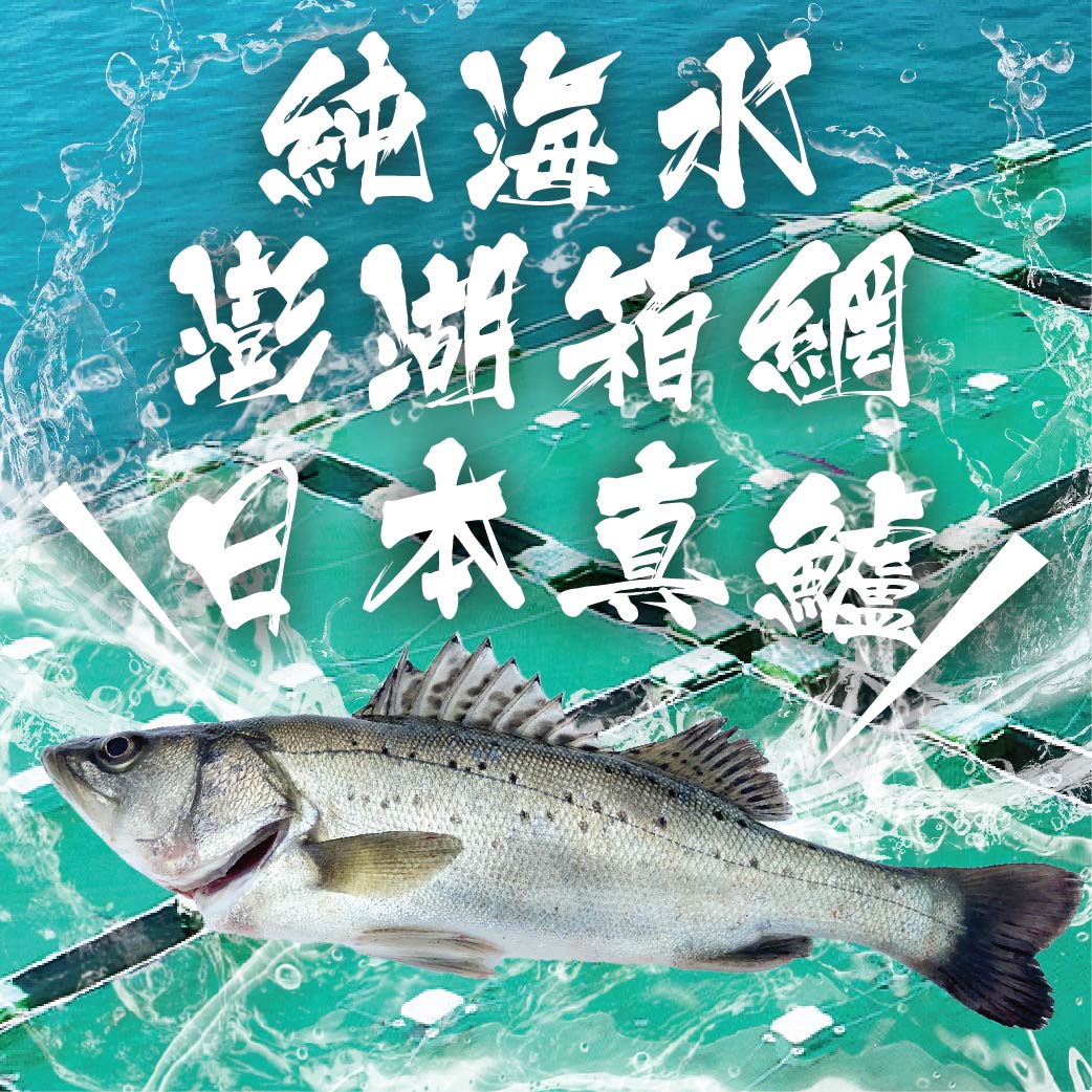 【天和鮮物X澎湖優鮮】日本真鱸全魚320g/尾